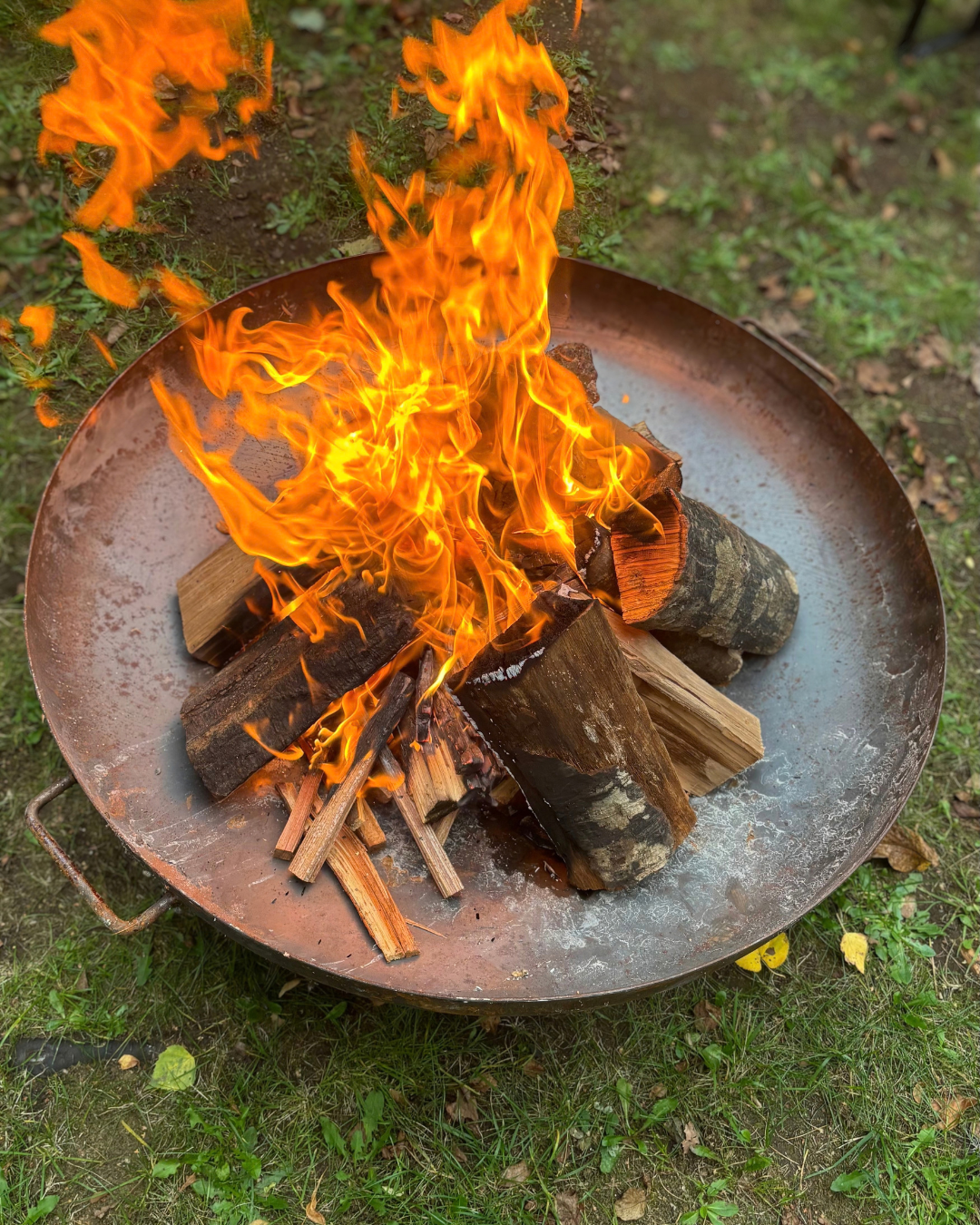 Gemeinsamer Grillabend mit unseren Pflegefamilien